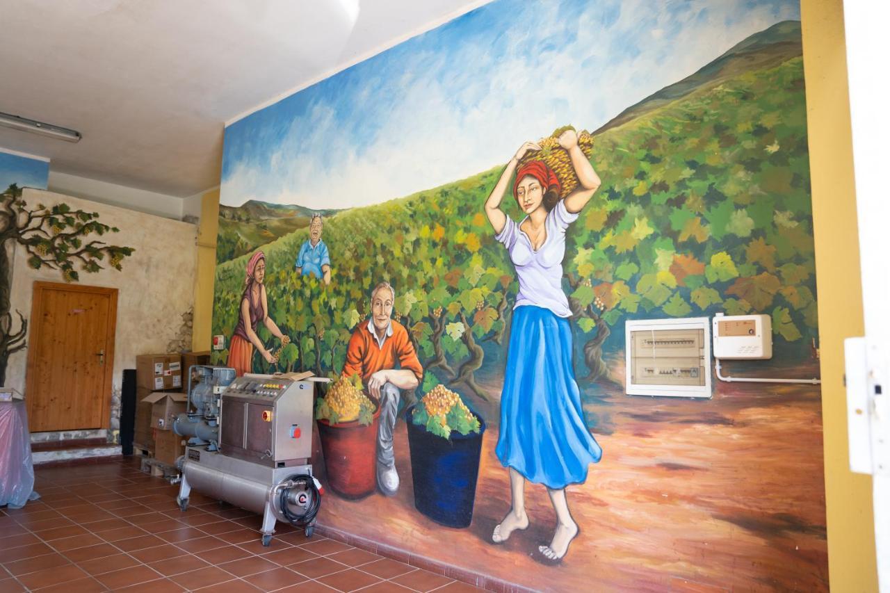 Le Case Nel Vitigno - Modolo Modolo  Bagian luar foto