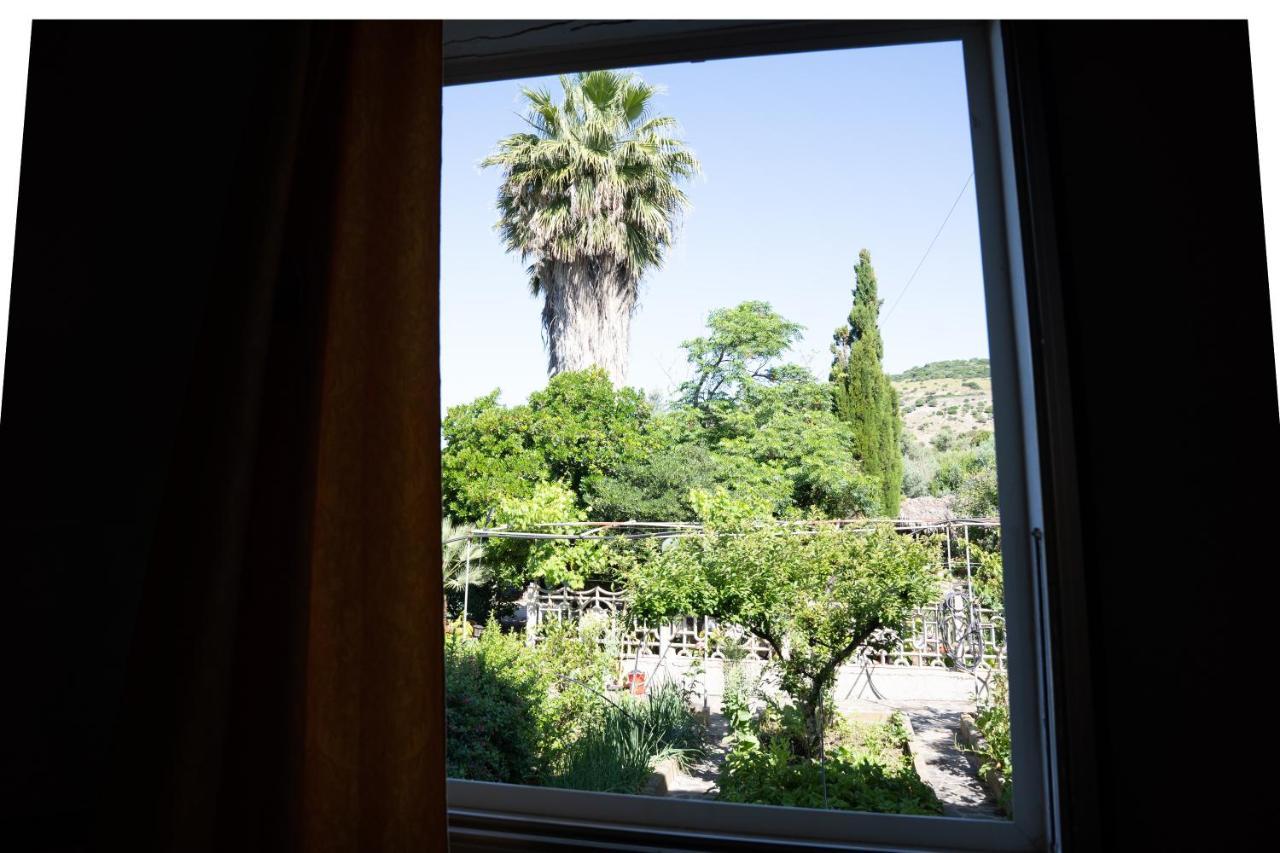 Le Case Nel Vitigno - Modolo Modolo  Bagian luar foto